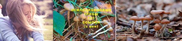 каннабис Сосновоборск