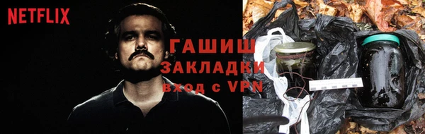 индика Белокуриха