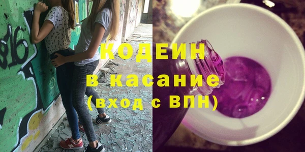 индика Белокуриха