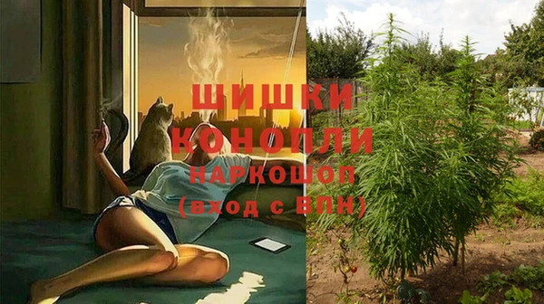 индика Белокуриха