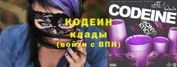 индика Белокуриха